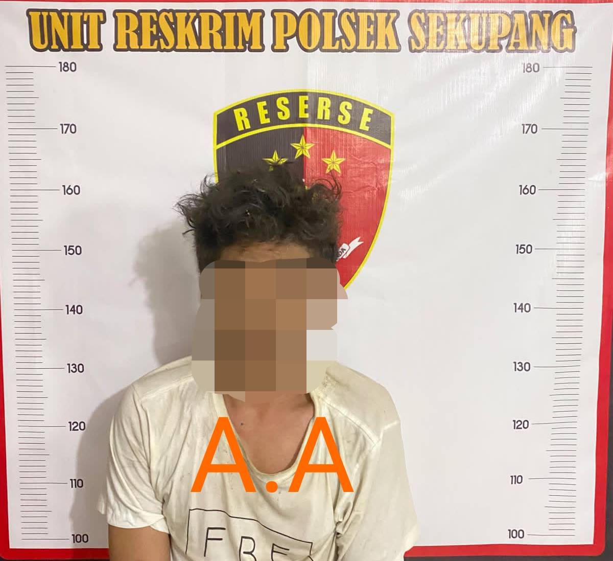 Polsek Sekupang Amankan Dua Pelaku Pencurian di Sebuah Toko di Kawasan PT Logam Mulia Batam.