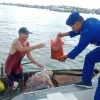 Satpolairud Polresta Tanjungpinang Salurkan Paket Sembako untuk Warga di Kawasan Pesisir Pelantar I