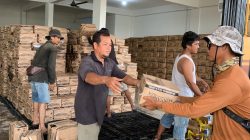 Stok Minyakita Sempat Kosong, Pemprov Kepri Datangkan 400 Ton untuk Penuhi Kebutuhan Warga.