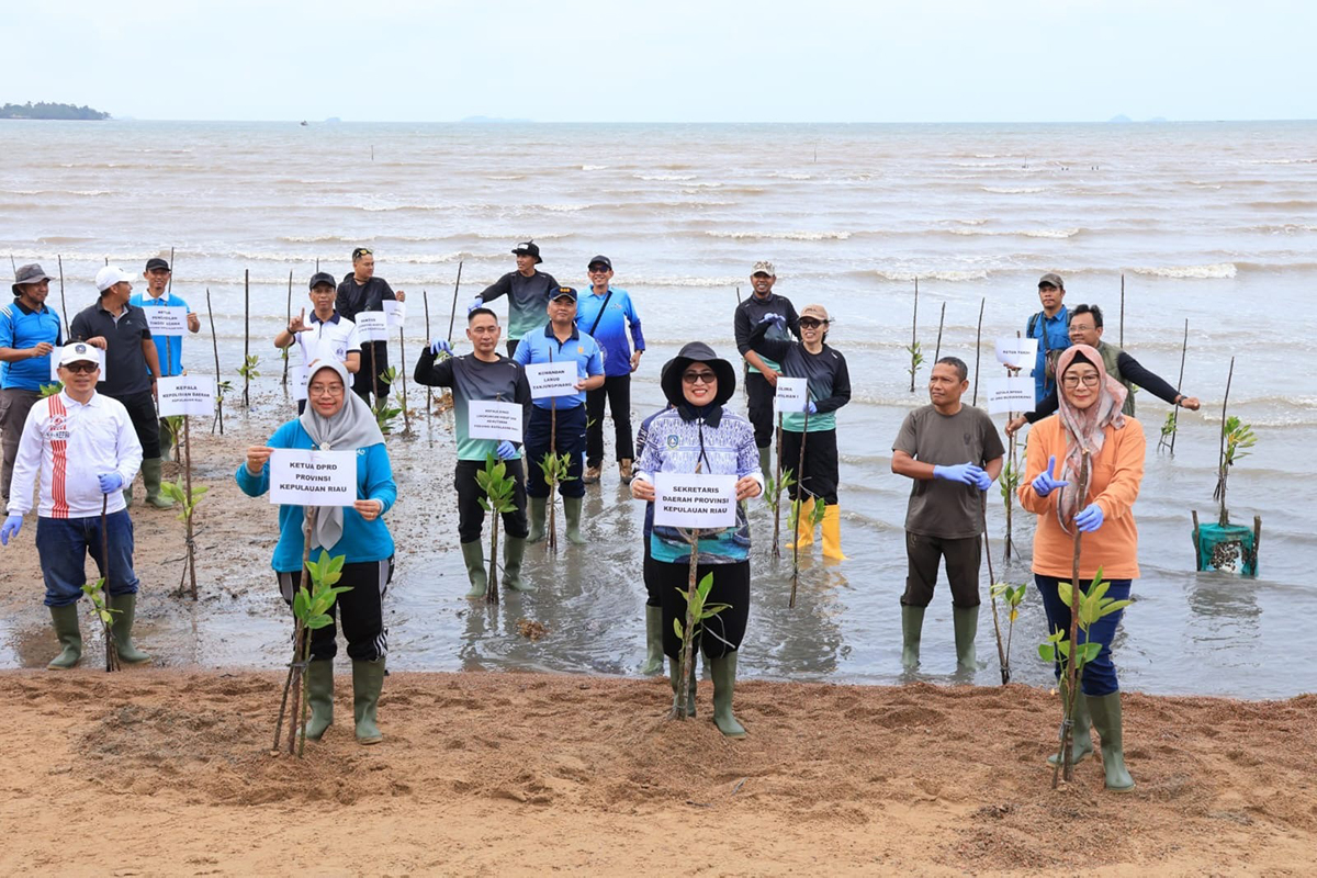 ‎Peringati Hari Mangrove Sedunia 2026, Pemprov Kepri Tanam 1.000 Bibit Bakau di Pulau Dombak.