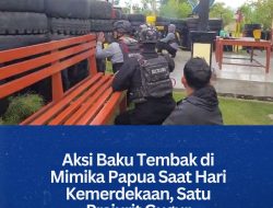 Aksi Baku Tembak di Mimika Papua Saat Hari Kemerdekaan, Satu Prajurit Gugur