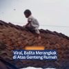 Viral, Balita Merangkak di Atas Genteng Rumah