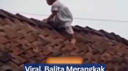 Viral, Balita Merangkak di Atas Genteng Rumah