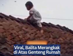 Viral, Balita Merangkak di Atas Genteng Rumah