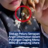 Diduga Peluru Senapan Angin Ditemukan dalam Potongan Daging Menu MBG di Lampung Utara