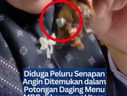 Diduga Peluru Senapan Angin Ditemukan dalam Potongan Daging Menu MBG di Lampung Utara