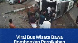 ‎Viral Bus Wisata Bawa Rombongan Pernikahan Terguling di Karela India, 35 Orang Terluka