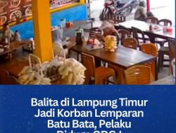 Balita di Lampung Timur Jadi Korban Lemparan Batu Bata, Pelaku Diduga ODGJ