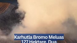 Karhutla Bromo Meluas 127 Hektare, Dua Helikopter Water Bombing Dikerahkan