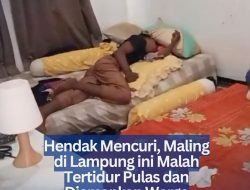 Hendak Mencuri, Maling di Lampung ini Malah Tertidur Pulas dan Diamankan Warga