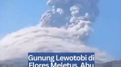 Gunung Lewotobi di Flores Meletus, Abu Vulkanik Membubung Setinggi 2,5 Km