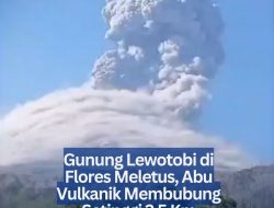 Gunung Lewotobi di Flores Meletus, Abu Vulkanik Membubung Setinggi 2,5 Km