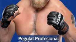 Pegulat Profesional Brock Lesnar Resmi Pensiun