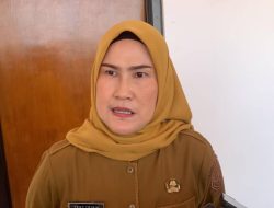 33 PPPK Pemprov Kepri Mengundurkan Diri, Faktor Keluarga hingga Pekerjaan Baru