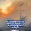 Kalimantan Darurat Karhutla, Kabut Asap Kepung Sejumlah Wilayah