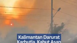 Kalimantan Darurat Karhutla, Kabut Asap Kepung Sejumlah Wilayah