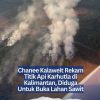 Chanee Kalaweit Rekam Titik Api Karhutla di Kalimantan, Diduga Untuk Buka Lahan Sawit