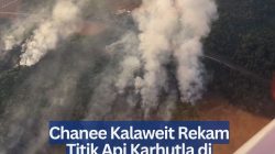 Chanee Kalaweit Rekam Titik Api Karhutla di Kalimantan, Diduga Untuk Buka Lahan Sawit
