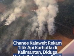 Chanee Kalaweit Rekam Titik Api Karhutla di Kalimantan, Diduga Untuk Buka Lahan Sawit