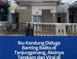 Ibu Kandung Diduga Banting Balita di Tanjungpinang, Aksinya Terekam dan Viral di Medsos