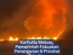 Karhutla Meluas, Pemerintah Fokuskan Penanganan 6 Provinsi Prioritas
