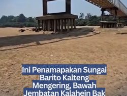 Ini Penamapakan Sungai Barito Kalteng Mengering, Bawah Jembatan Kalahein Bak Gurun Pasir