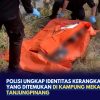 Polisi Ungkap Identitas Kerangka Manusia yang Ditemukan di Kampung Mekar Jaya Tanjungpinang