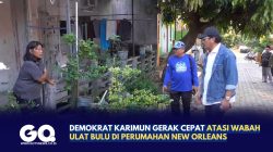 Demokrat Karimun Gerak Cepat Atasi Wabah Ulat Bulu di Perumahan New Orleans