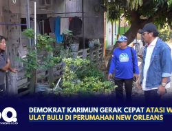 Demokrat Karimun Gerak Cepat Atasi Wabah Ulat Bulu di Perumahan New Orleans