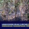 Lahan Kosong Seluas 2 Hektare di Jalan Cendrawasih Tanjungpinang Terbakar