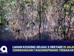 Lahan Kosong Seluas 2 Hektare di Jalan Cendrawasih Tanjungpinang Terbakar
