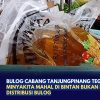 Bulog Cabang Tanjungpinang Tegaskan Minyakita Mahal di Bintan Bukan dari Distribusi Bulog