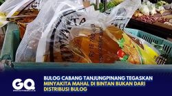 Bulog Cabang Tanjungpinang Tegaskan Minyakita Mahal di Bintan Bukan dari Distribusi Bulog
