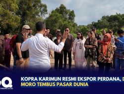 Kopra Karimun Ekspor Perdana, Dari Moro Tembus Pasar Dunia