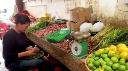Harga Bawang di Pasar Tanjungpinang Melonjak Hingga Rp48 Ribu per Kilo