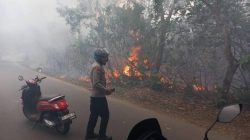Polske Tanjungpinang Kota Bersama Damkar Berjibaku Padamkan Kebakaran Lahan di Kampung Bugis.