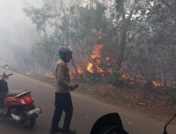 Polske Tanjungpinang Kota Bersama Damkar Berjibaku Padamkan Kebakaran Lahan di Kampung Bugis