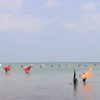 Semarak Festival Pantai Wan Seri Beni, Ratusan Jong Jadi Magnet Wisata dan Perkuat Identitas Budaya