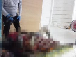 Seorang Pria di Tanjungpinang Ditemukan Tewas Membusuk di Kamarnya