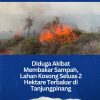 Diduga Akibat Bakar Sampah, Lahan Kosong Seluas 2 Hektare Terbakar di Tanjungpinang