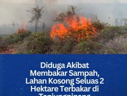 Diduga Akibat Bakar Sampah, Lahan Kosong Seluas 2 Hektare Terbakar di Tanjungpinang