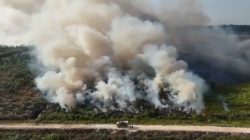 Kemlu RI: Belum Ada Protes Negara Tetangga Soal Asap Karhutla.