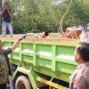 Direskrimsus Polda Kepri Bongkar Aktivitas Tambang Pasir Ilegal di Nongsa Batam, Tiga Pelaku Diamankan