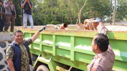 Direskrimsus Polda Kepri Bongkar Aktivitas Tambang Pasir Ilegal di Nongsa Batam, Tiga Pelaku Diamankan
