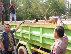 Direskrimsus Polda Kepri Bongkar Aktivitas Tambang Pasir Ilegal di Nongsa Batam, Tiga Pelaku Diamankan