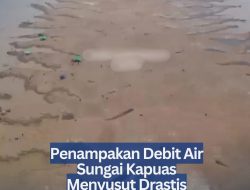 Penampakan Debit Air Sungai Kapuas Menyusut Drastis