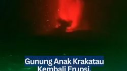 Gunung Anak Krakatau Kembali Erupsi, Semburkan Lava Hingga 400 Meter