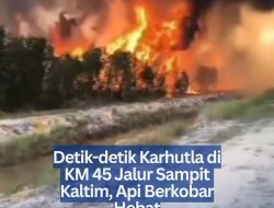‎Detik-detik Karhutla di KM 45 Jalur Sampit Kaltim, Api Berkobar Hebat