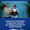 Prabowo Bentuk Badan Pengelolaan Gambut dan Mangrove Nasional Cegah Karhutla