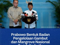 Prabowo Bentuk Badan Pengelolaan Gambut dan Mangrove Nasional Cegah Karhutla